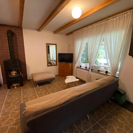 Nad Jeziorem Krzywe Holiday home *